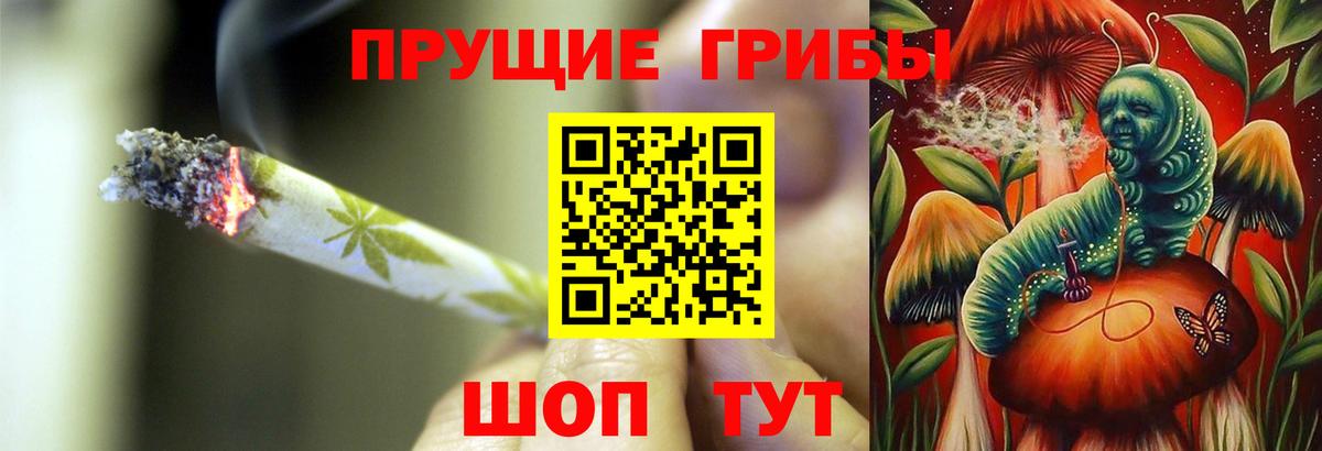 Арсеньев  Галлюциногенные грибы Magic Shrooms  Вход с VPN 
